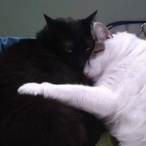 Meet your Posher, Mary a